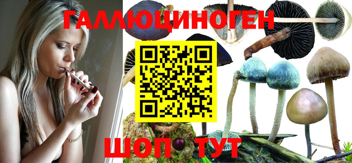 Галлюциногенные грибы прущие грибы Мончегорск