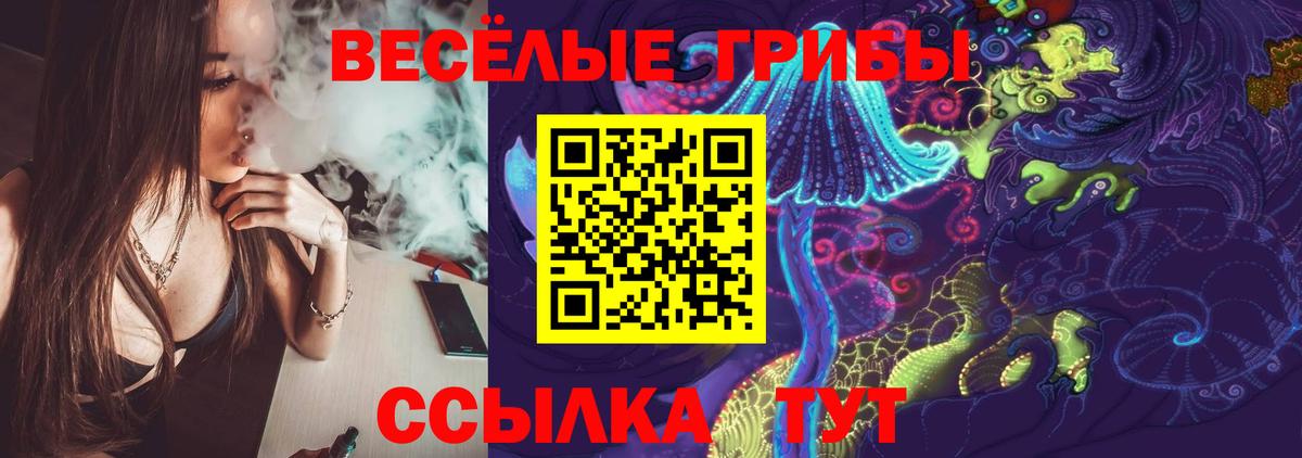 Мончегорск  Галлюциногенные грибы GOLDEN TEACHER  Вход с VPN 